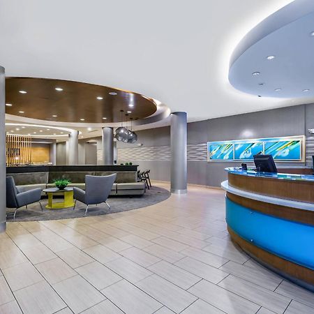 Springhill Suites By Marriott San Antonio Seaworld/Lackland Eksteriør bilde